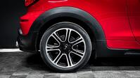 MINI PACEMAN